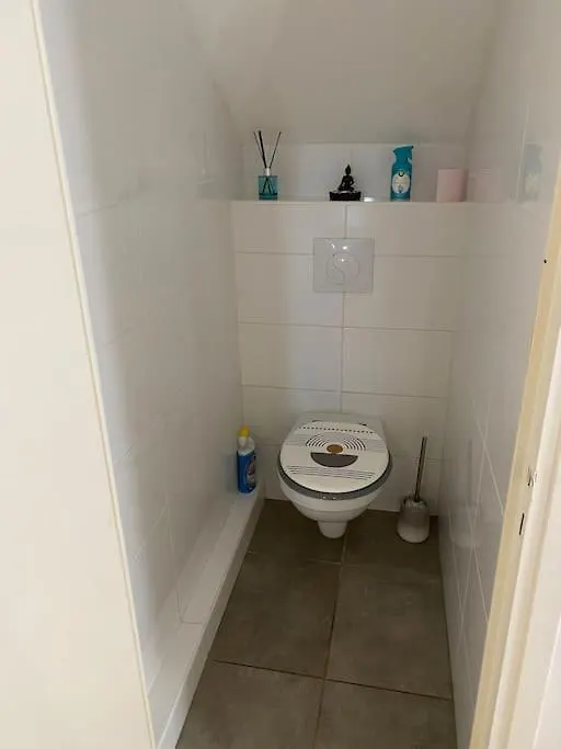 Gite Des Chabaudieres Chaneins Holiday home