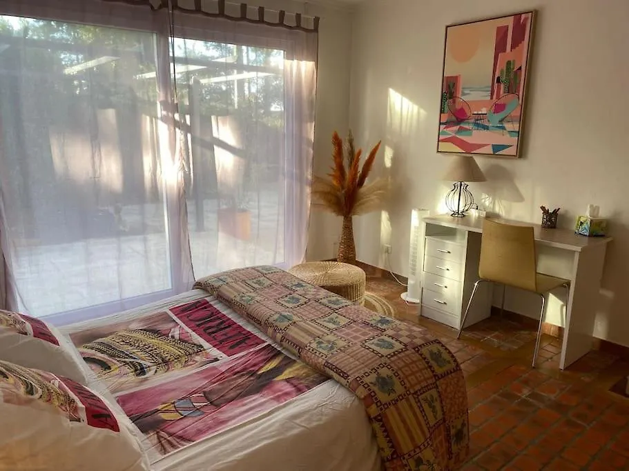 Gite Des Chabaudieres Chaneins Holiday home